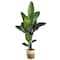 7ft. Artificial Travelers Palm Tree with Basket